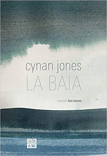 Cynan Jones, La baia