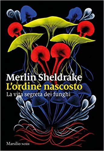 Merlin Sheldrake, L’ordine nascosto. La vita segreta dei funghi